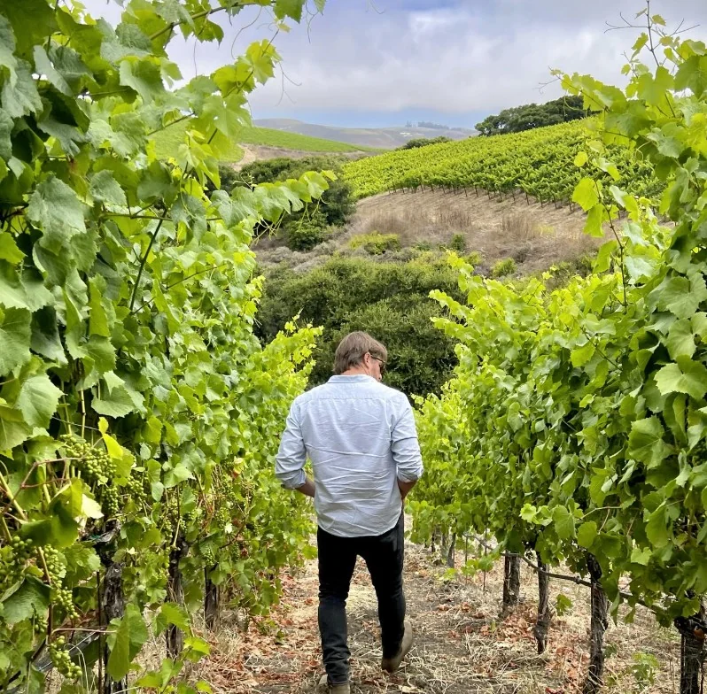 Rusack Vineyards